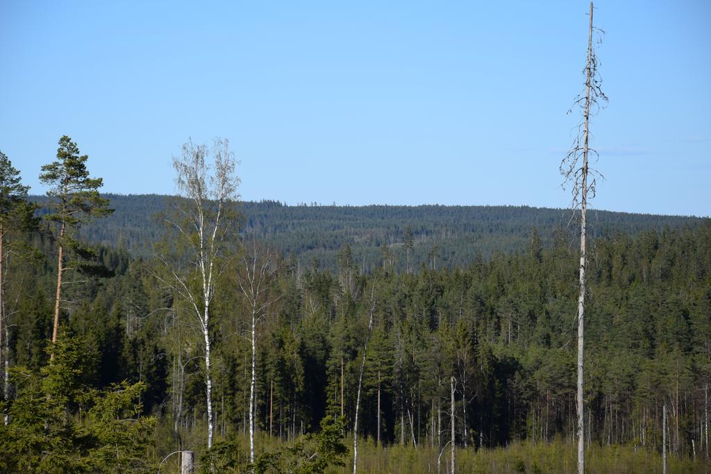 Kronobo Marieholm  Exterior foto
